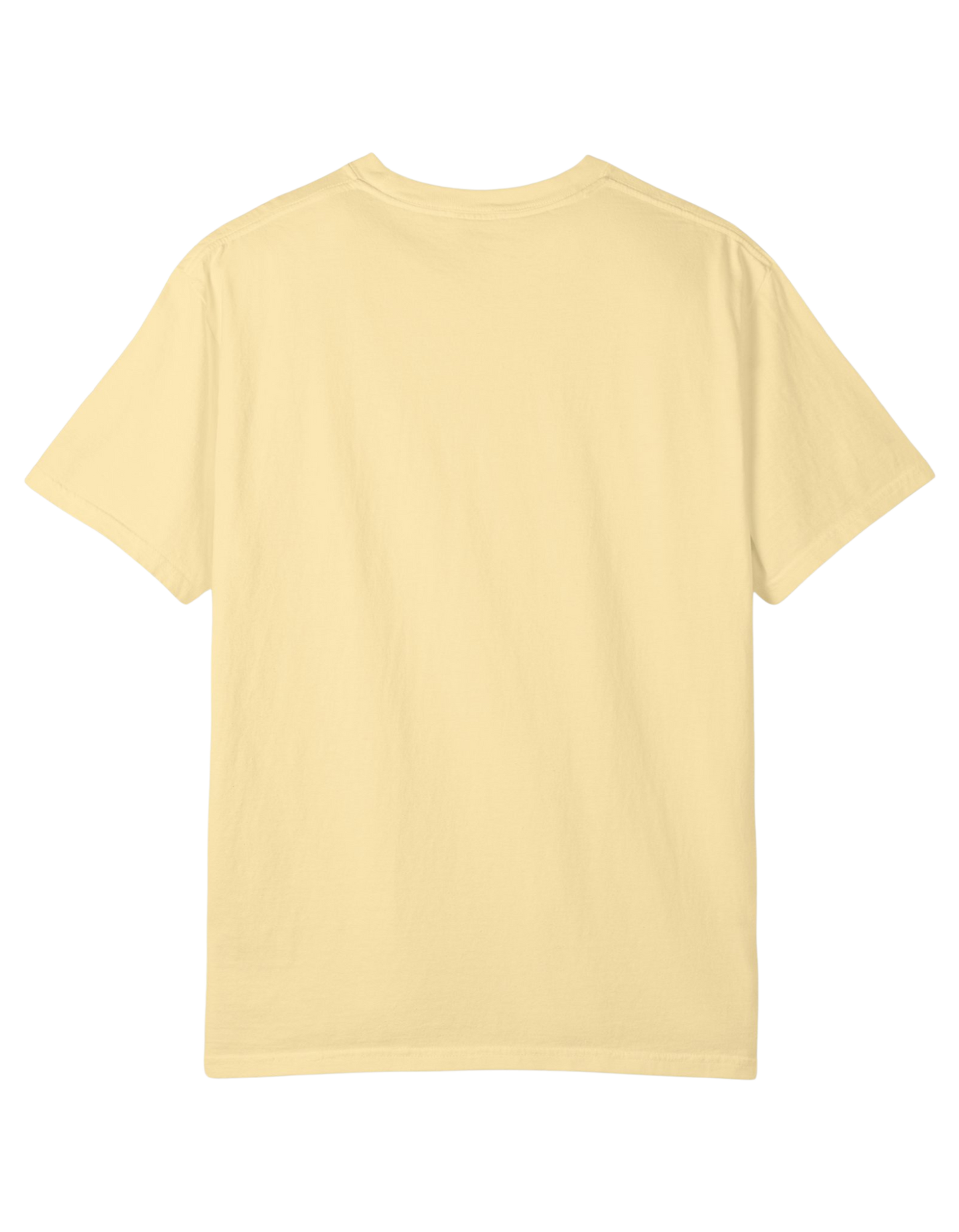 "NO ONE IS PERF" Unisex Heavy Tee