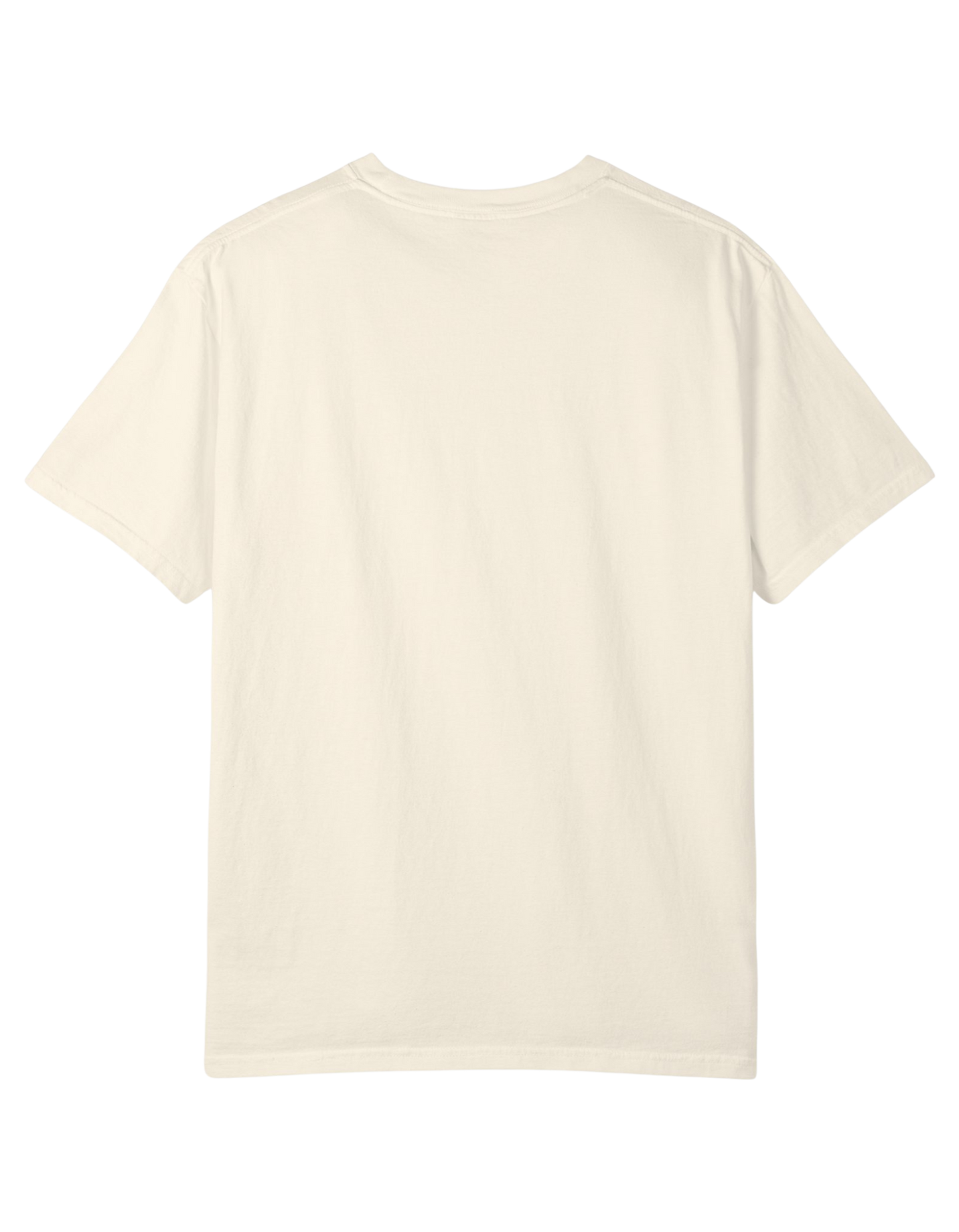 "NO ONE IS PERF" Unisex Heavy Tee